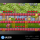 Evercade Zestaw gier Jaleco Arcade 1 - 1140639 - zdjęcie 4